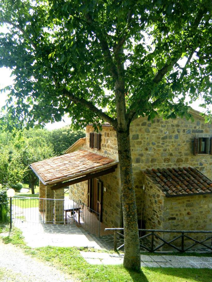Agriturismo Ombianco Seggiano Exterior photo