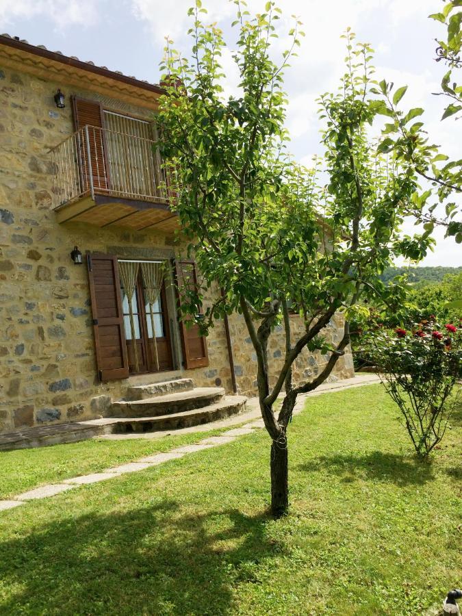 Agriturismo Ombianco Seggiano Exterior photo